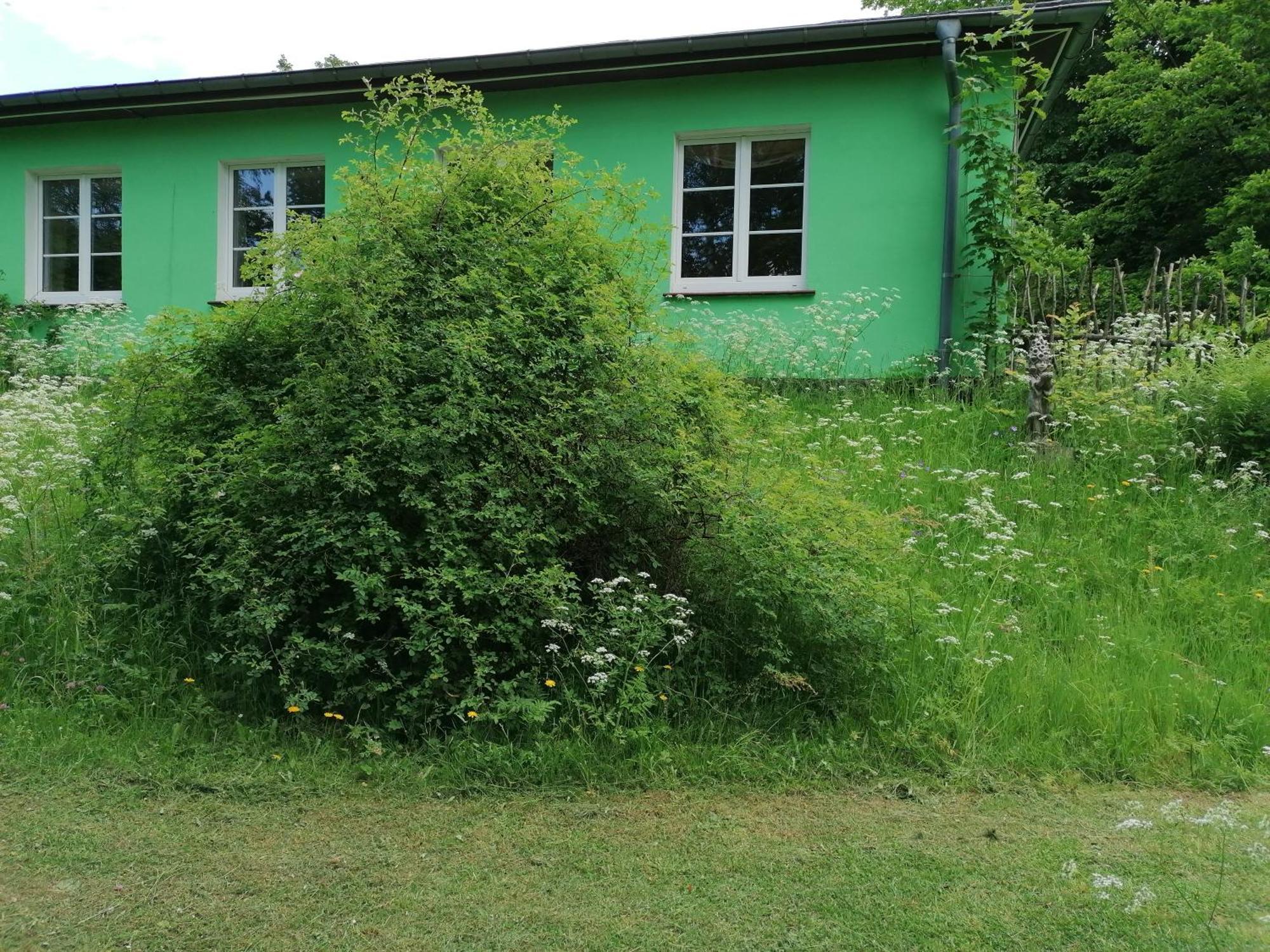 Kraeuterbaude Hotel Saupsdorf Bagian luar foto